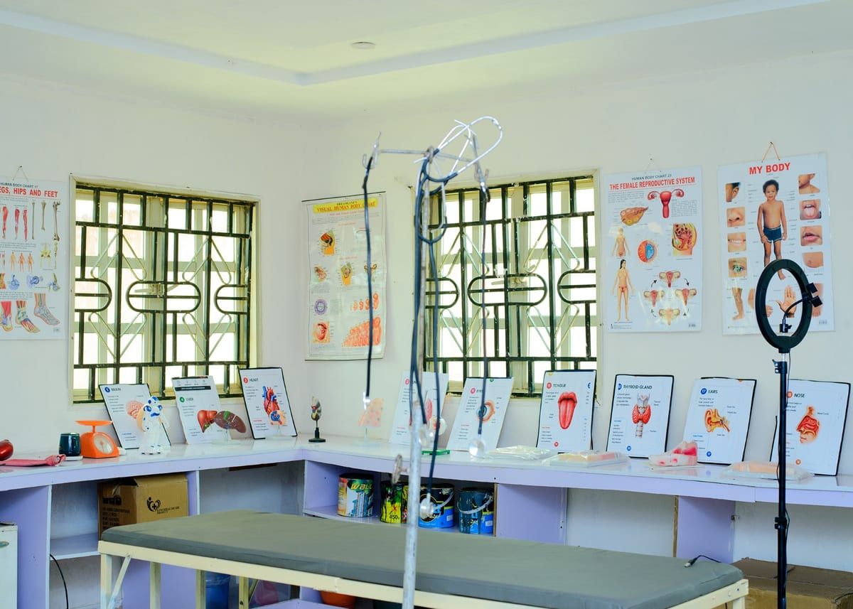 Anatomical organ models and human body charts arranged along the laboratory bench