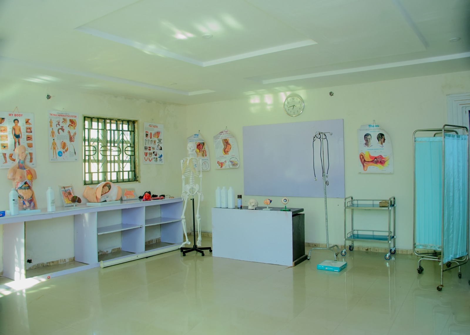 Practical laboratory at AMB College of Health Technology, with anatomical models, teaching charts and clinical equipment